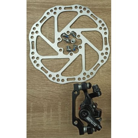 Дискові гальма Repute передні DSC310 з ротором RPT005 160 мм