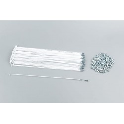 Спица 14Gx255мм (100шт к-кт), белая Китай