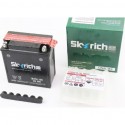 Аккумулятор 12V5Ah 12N5L-BS кислотный (L120*W60*H130мм) "Active" Skyrich