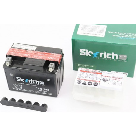 Аккумулятор 12V4Ah YB4L-B-BS кислотный (L120*W70*H90мм) Skyrich