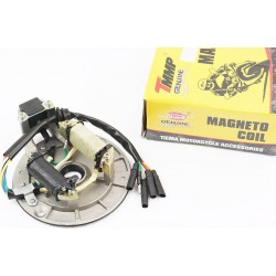 Статор магнето (генератора) (2 катушки "5 проводов") тип 2 "на бесстартерный двигатель" Китай