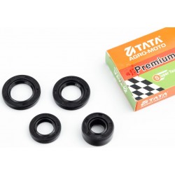 Сальники к-кт 4шт ((11,6х24х10/17х29х5/18,9х30х5/13,7х24х5) двигуна, 70сс TATA-Premium