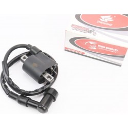 Котушка запалювання з ковпачком свічковим ZHENGHE