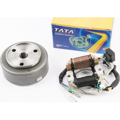 Магнето в зборі (на 2 котушки) TATA