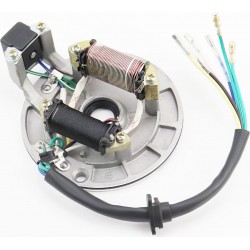 Статор магнето (генератора) (2 котушки "6 дротів") тип 2 "на безстартерний двигун" Китай в магазині Велосон