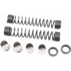 Ремонтный комплект вилки передней (сальники, пружины, втулки) 8 деталей, DELTA Китай