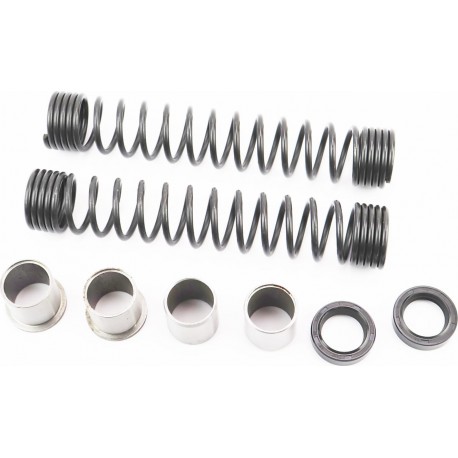 Ремонтный комплект вилки передней (сальники, пружины, втулки) 8 деталей, DELTA Китай