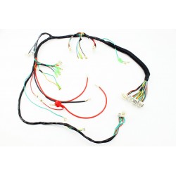 Проводка центральная (см. фото) TATA