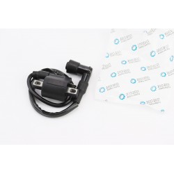 Котушка запалювання із насвічником CG/CB TATA