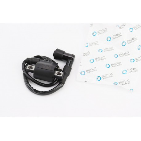 Котушка запалювання із насвічником CG/CB TATA