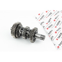 Коробка передач-вал вторичный с шестернями TATA