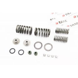 Клапанный рем. к-кт (пружины, сухари, тарелки, сальники) CB125cc TATA