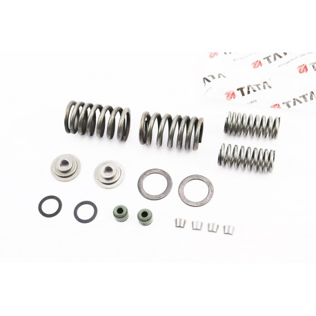 Клапанный рем. к-кт (пружины, сухари, тарелки, сальники) CB125cc TATA