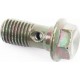 Болт гальмівного шланга M10 Китай