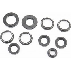 Сальники к-кт 10шт (17x30x7/10/ 22x35x7/ 23x36,5x6-2шт/ 25x52x6/ 34x43x5/8-4шт/ 34x52x9) Планета Китай