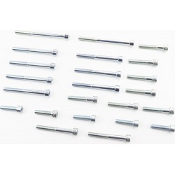 Болти двигуна к-кт (М6х25мм, 5шт, М6х35мм, 7шт, М6х50мм, 2шт, М6х60мм, 7шт, М6х75мм, 2шт) Юпітер Китай