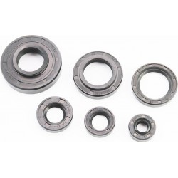 Сальники к-кт 6шт (10x22x8/ 14x25x7/ 15x30x7/ 25x52x10/14/ 26x38x7/ 26x42x8/10) Китай