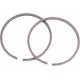 Кільця поршневі к-кт 2шт STD 61,75мм, ПОЛЬЩА MOTUS