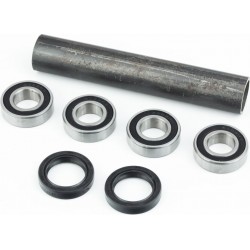 Ремонтный комплект маятника (4 подшипника+2 сальника+втулка) Exdrive CRF-250 New Китай