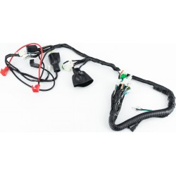 LIFAN LF175-2E/200 CityR Проводка центральная к-кт LIFAN