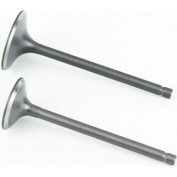 Shineray XY250GY-6B Клапана выпускной (H-88.5/ D-28.5), впускной (H-90.5/ D-34) к-кт 2шт 172FMM SHINERAY