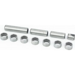 Ремонтний комплект прогресії (7 підшипників+4 втулки) Profactory 250/300 Китай