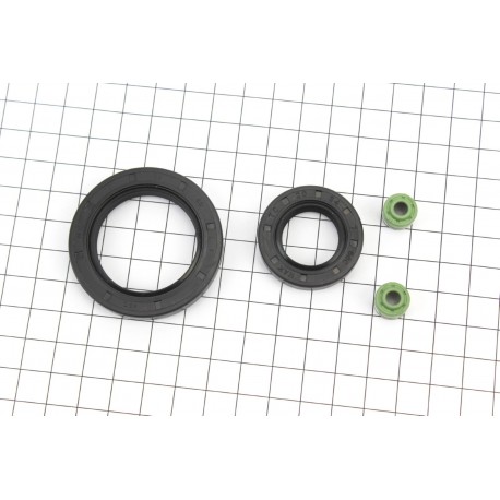 Viper-ZS200GS Сальники двигуна к-кт 4шт (20x34x7, 34x50x7+сальник клапана 2шт) Китай