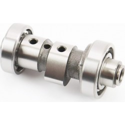 Розподільчий вал+підшипники Китай (506005)