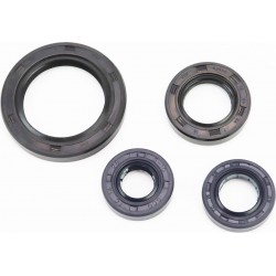 Сальники к-кт 4шт (14x28x7/ 16x28x7/ 20x34x7/ 34x50x7) двигуна, Loncin LX200GY-3 Китай