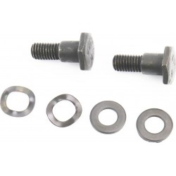 Болт кріплення зчеплення M8x1,25 2шт + шайба 4шт, к-кт Китай