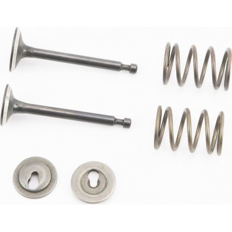 Клапана впускной (H-42,3/ D-15,5/ d-3,5), выпускной (H-42,3/ d-14/ d-3,5), к-кт HONDA GX35 (CG438)-4Т  Китай