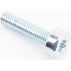 Болт IS D5x20 Китай