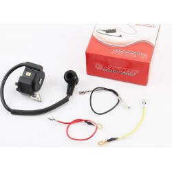 Котушка запалювання MS-210/230/250 AKME