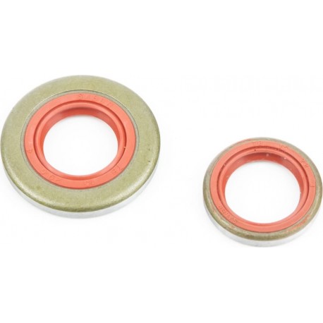 Сальники, к-кт 2шт (15x22x4/ 15x29, 6x4) MS-361/362, метал SABER