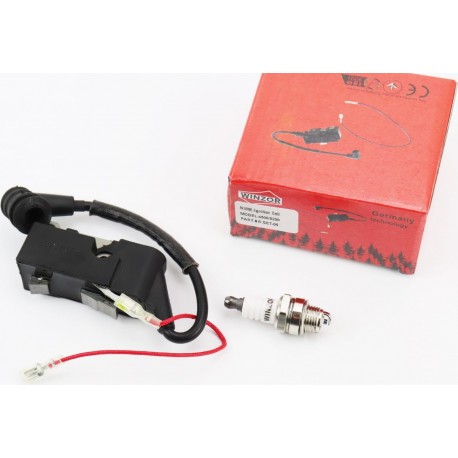 Катушка зажигания 4500/5200/5800 + свеча WINZOR