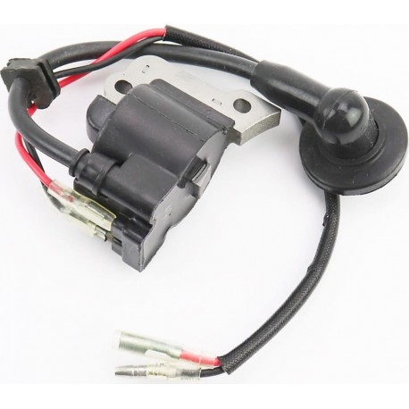 Катушка зажигания FS-768 Китай