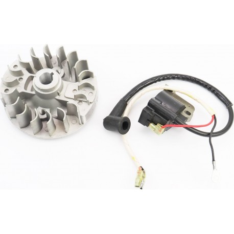 Ротор магнето 139F-4T + котушка запалювання, к-кт Китай