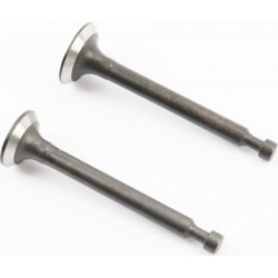 Клапана впускной (H-43,9/ D-13,5/ d-4), выпускной (H-43,9/ d-12/ d-4), к-кт 139F-4Т Китай