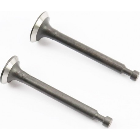 Клапани впускний (H-43,9/ D-13,5/ d-4), випускний (H-43,9/ D-12/ d-4), к-кт 139F-4Т Китай