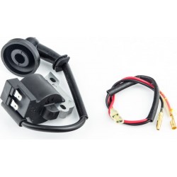 Катушка зажигания 1E36F тип 3 Китай