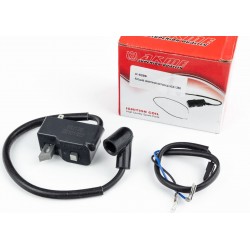 Катушка зажигания Husqvarna 125R/128R AKME