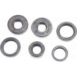 Сальники к-кт 6шт (19,5x35x10/ 20x47x10-2шт/ 25x35x7/ 32x44x7-2шт) Китай