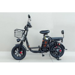 ЭЛЕКТРОВЕЛОСИПЕД 16" 1000W, АКБ Li-ion 60V 21Ah, рама стальная, бесключевой доступ литые диски, чёрный Allroad DISIY