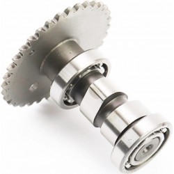 Розподільчий вал в зборі Китай 309170