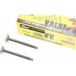 Клапана впускний (H-65/ D-18,5), випускний (H-64,5/ D-16) к-кт 2шт TMMP