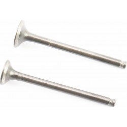 Клапана впускний (H-69,4/ D-18,7), випускний (H-69,4/ D-16) к-кт 2шт Китай