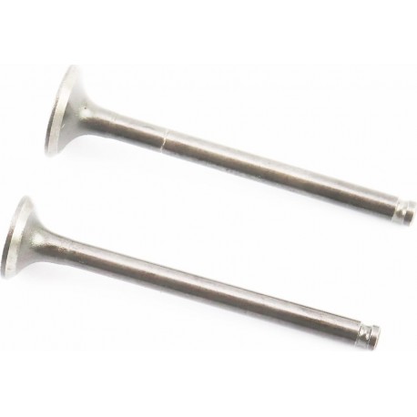 Клапана впускний (H-69,4/ D-18,7), випускний (H-69,4/ D-16) к-кт 2шт Китай