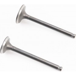 Клапана впускний (H-66/ D-23), випускний (H-65/ D-20) к-кт 2шт, (збільшені) Китай