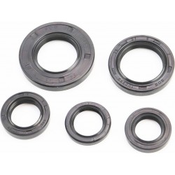 Сальники к-кт 5шт (15x25x5/ 17x25x4/ 17x27x6/ 24x43x6/ 25x37x6) двигуна, Suzuki Sepia MSU