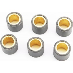 Ролики вариатора 6шт, 25x22,2-26г, Тайвань SM-TW